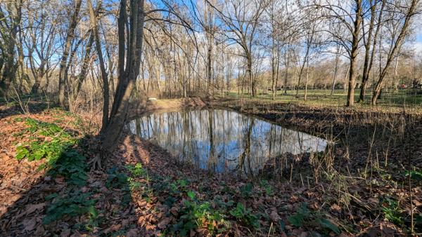Terrain de loisir