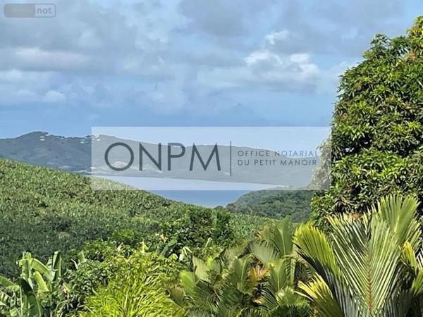 Maison à vendre à Le Robert en Martinique (97231), ref : 97207-695