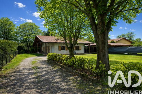 Maison à vendre 5 pièces 111 m² Cestas