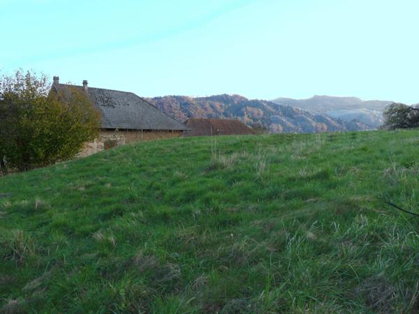 Immobilier Saint-Geoire-en-Valdaine (38620) – Terrain constructible 1198m2 – 75 000 €