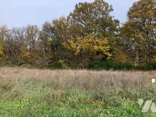 A VENDRE - SARLAT LA CANEDA - Terrain à bâtir de 1956 m²
