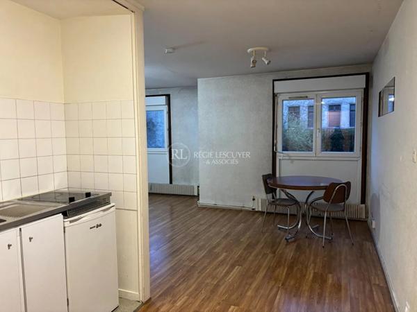 Appartement à louer à Villeurbanne (69100)