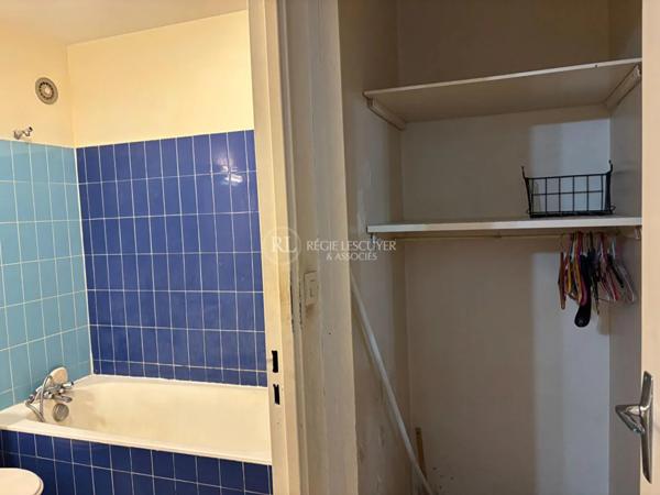 Appartement à louer à Villeurbanne (69100)