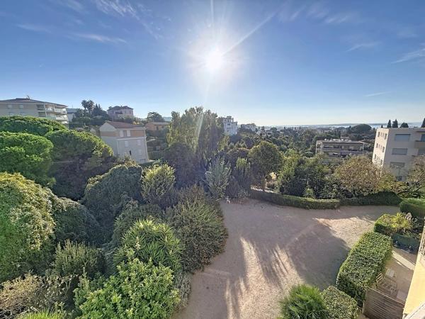Vente                                                      Appartement
                        
                     1 pièces                      33 m2                     à Cannes