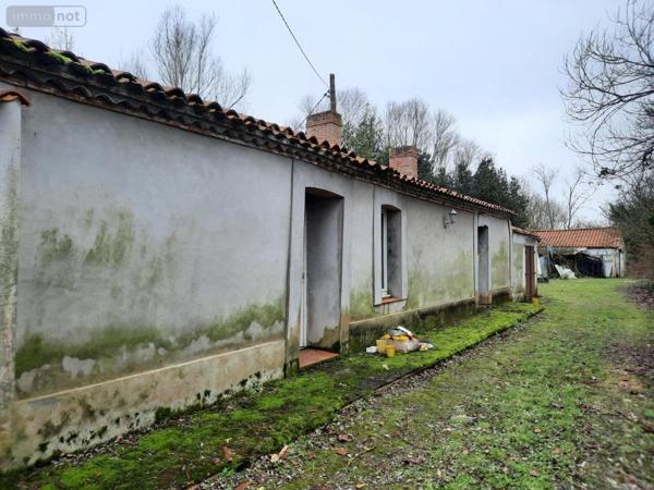 Maison à vendre à Sallertaine en Vendée (85300), ref : 85091-5116