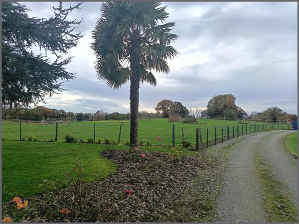 Longère en pierre , dépendances et terrain 1.2 HA-  4 km de Bazouge la Pérouse, 9  KM de Combourg et  35 km de Dinan- AXE RENNES-St MALO
