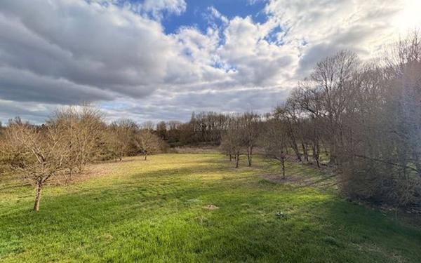 Maison à vendre    7 pièces •  Pontlevoy