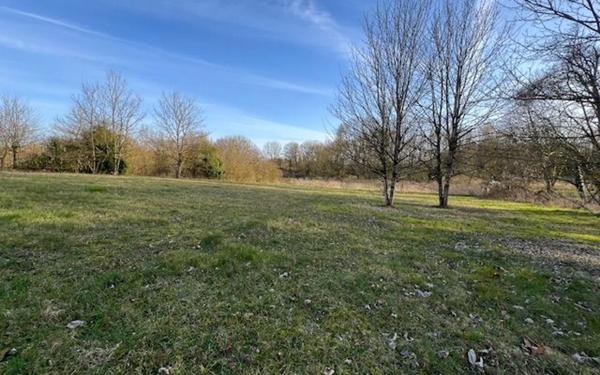 Maison à vendre    7 pièces •  Pontlevoy