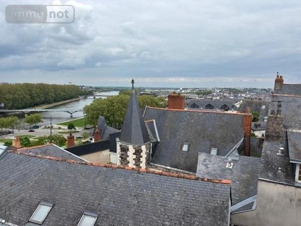 Appartement à vendre à Angers dans le Maine-et-Loire (49000), ref : 49114-717   
Centre