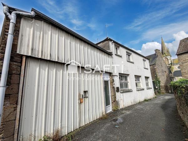 Immeuble : Local commercial+duplex+appartement 265m²
