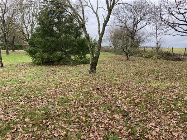 Terrain à vendre |  Saunay |  1121 m²