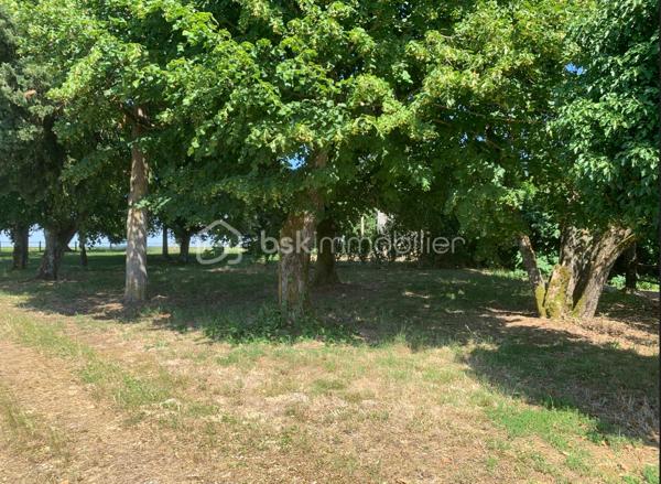 A 5mn du centre-ville de Condom, cette propriété d'env. 7000 m² avec parc arboré, offre un cadre de vie privilégié au cœur d'un environnement naturel préservé.
Cette propriété s’adresse à de multiples profils comme, un investisseur recherchant un rapport sur les bâtis ou tout simplement une famille souhaitant conjuguer vie à la campagne dans une zone alliant charme et douceur de vivre. La partie habitation se compose de trois logements distincts avec accès indépendant. Une maison principale T7 R+1 de 207 m² à rénover idéal pour une famille, un logement T4 de 87 m² de plain-pied avec garage, un logement T3 de 92 m² de plain-pied avec terrasse. La partie exploitation comprend une dépendance de 225 m² attenante à la maison avec un hangar agricole et un atelier fermé, parfait pour une activité artisanale. Ce bien multi-usages correspond à un ensemble immobilier rare sur le secteur.