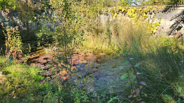 Immobilier Loches (37600) – Maison 175m2 – 310 000 €