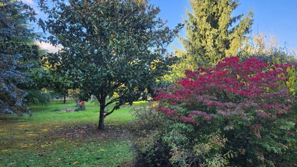 Immobilier Loches (37600) – Maison 175m2 – 310 000 €