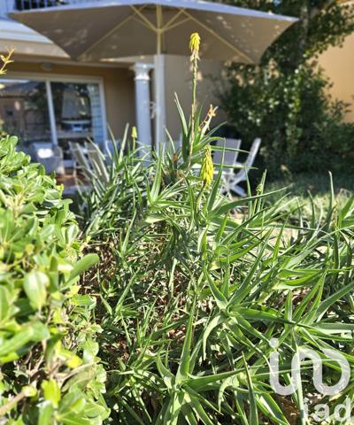 Appartement à vendre 2 pièces 34 m² Sainte-Maxime