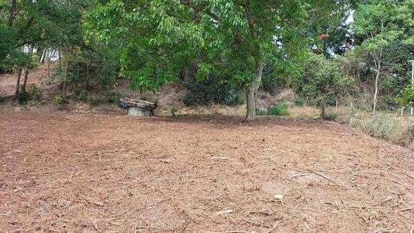 Terrain constructible Puycasquier(32120) 603m²