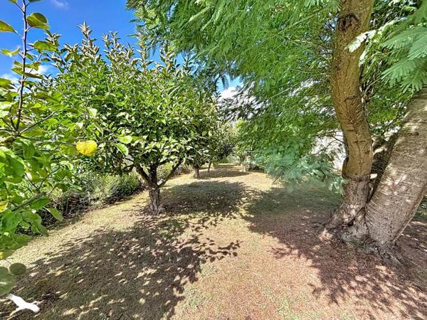 Maison à vendre 421 200 € Saint-Palais-sur-Mer 3 p 115 m² DPE C