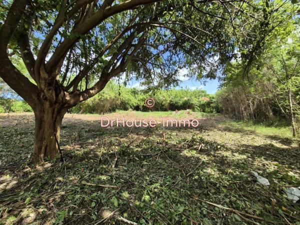 Terrain à vendre de 1 299 m²