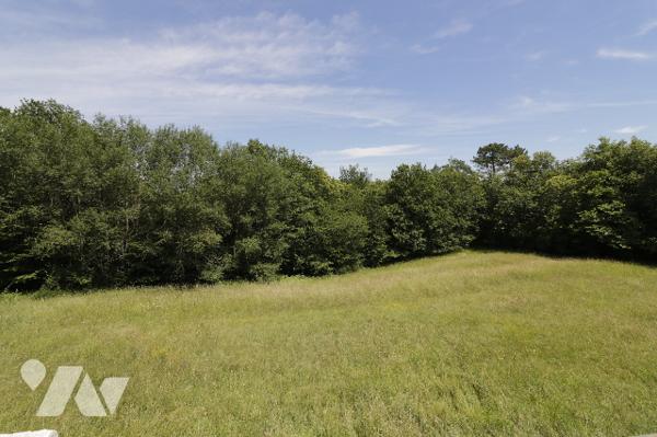 A VENDRE - VITRAC - Maison de 141 m² sur parcelle de 99770 m²