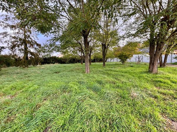 Terrain idéalement situé