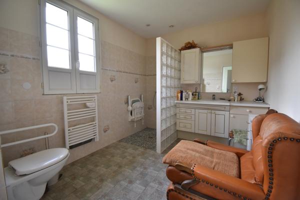 Dangeau (28160) CORPS DE FERME 13500 M²