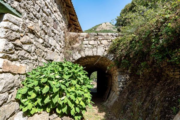 07140 : Maison pierre sur 12 ha avec vue exceptionelle