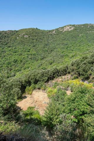 07140 : Maison pierre sur 12 ha avec vue exceptionelle