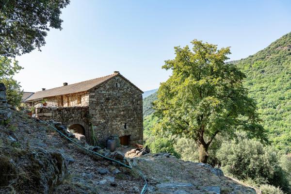 07140 : Maison pierre sur 12 ha avec vue exceptionelle
