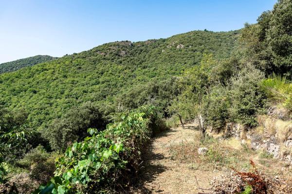 07140 : Maison pierre sur 12 ha avec vue exceptionelle