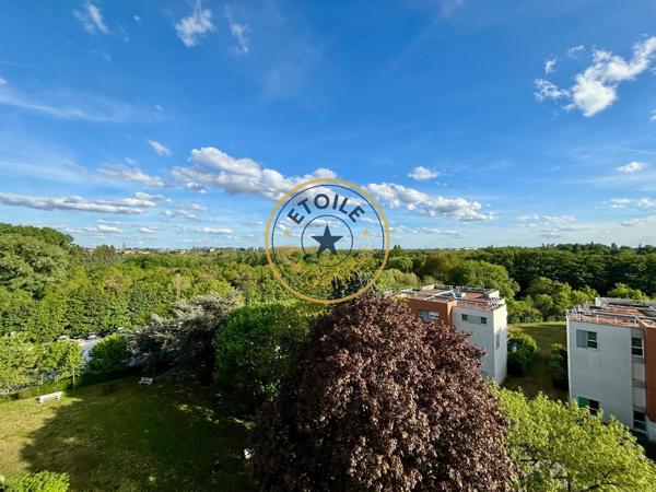 DOUTRE/BELLE BEILLE - Disponible dès maintenant - ...