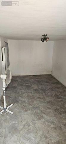 Maison à restaurer à vendre à Saint-Baudel dans le Cher (18160), ref : 18022/803