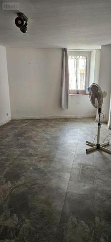 Maison à restaurer à vendre à Saint-Baudel dans le Cher (18160), ref : 18022/803