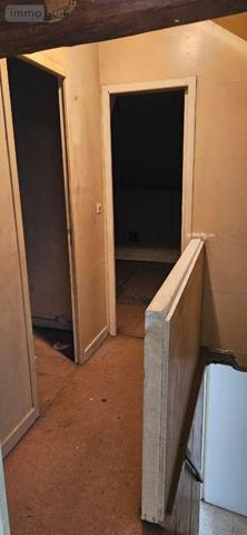 Maison à restaurer à vendre à Saint-Baudel dans le Cher (18160), ref : 18022/803