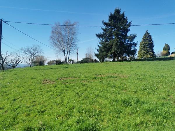Terrain à vendre    4 503 m2 Albignac