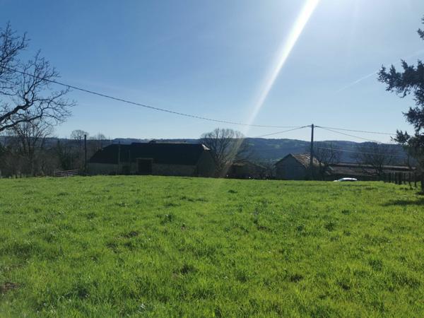 Terrain à vendre    4 503 m2 Albignac
