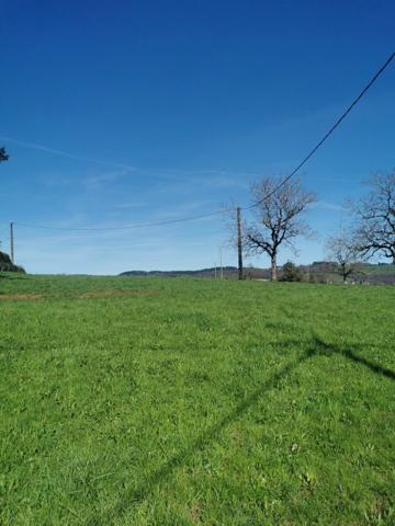 Terrain à vendre    4 503 m2 Albignac