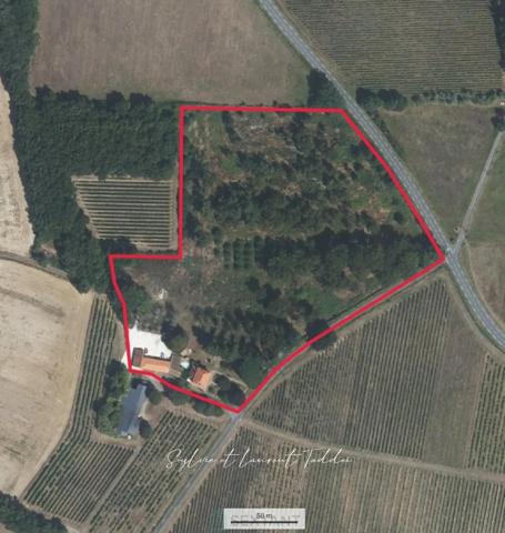 MAISON BOURGEOISE EN PIERRE RENOVEE AVEC PISCINE, DEPENDANCES ET PLUS DE 3,6 HECTARES DE TERRAIN