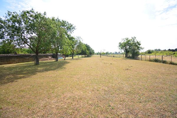 Terrain Doue la Fontaine