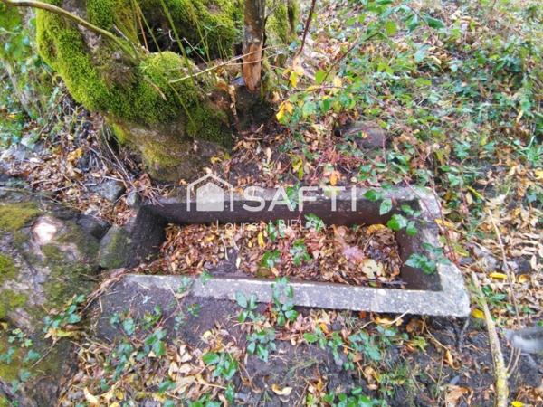 Grange foraine d'environ 100 m2 sur terrain 750m2