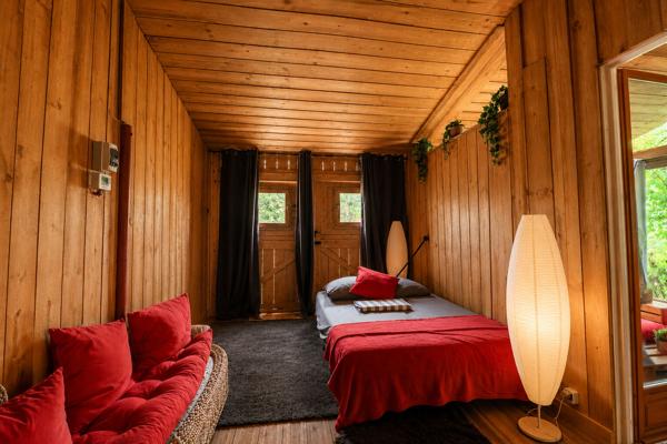 Maison Chantenay Saint Imbert, 3 chambres, gite, 11000€ de revenus, grand terrain, véranda, cabane écologique