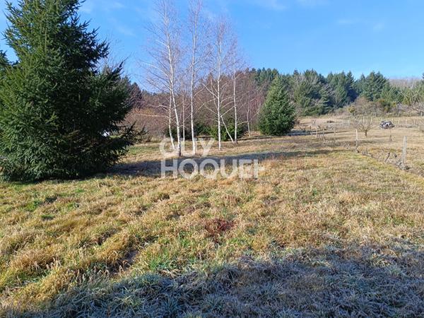 Terrain Constructible à Boen Sur Lignon 2316 m2