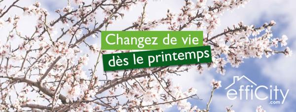 Appartement 2 pièces - 32 m² Exclusivité efficity