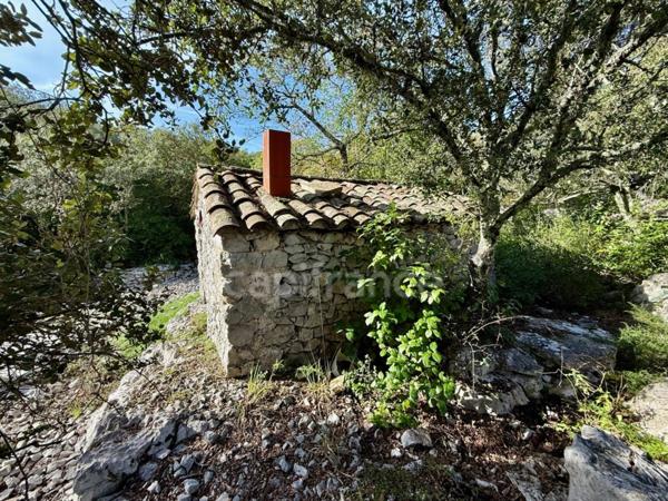 Terrain à vendre avec Mazet en pierre SAUVE (30)