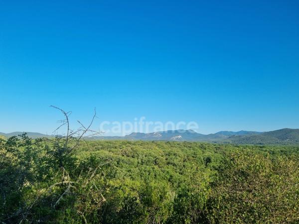 Terrain à vendre avec Mazet en pierre SAUVE (30)
