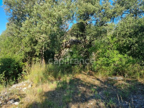 Terrain à vendre avec Mazet en pierre SAUVE (30)