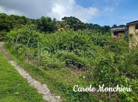 Terrain de 584 m²