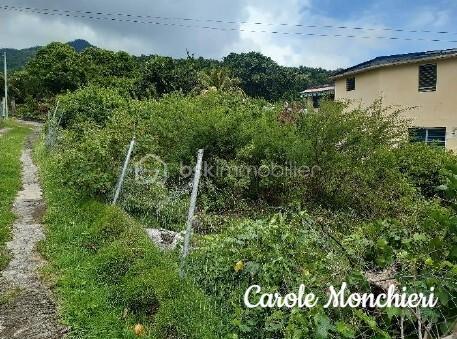 Terrain de 584 m²