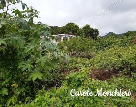Terrain de 584 m²