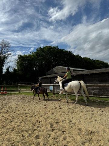 Terrain agricole /centre-équestre
