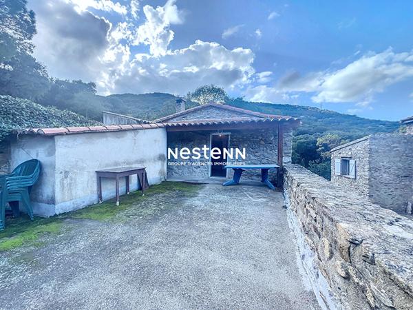 Mas à vendre, proche Collioure 11 pièces avec 8 chambres